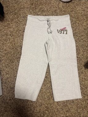 American Eagle Outfitters Light Gray Cropped Sweatpants with Pink & Olive Logo